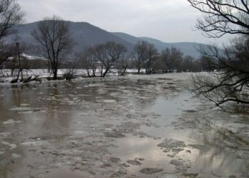 В річці Дунай підніметься рівень води