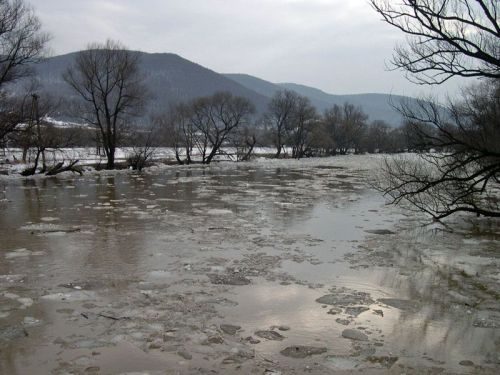 В річці Дунай підніметься рівень води