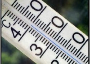 Воздух в Москве прогрелся до плюс 29 градусов, побив температурный рекорд дня