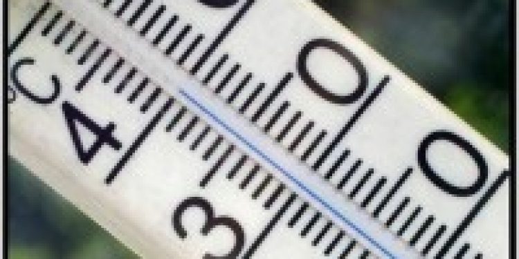 Воздух в Москве прогрелся до плюс 29 градусов, побив температурный рекорд дня