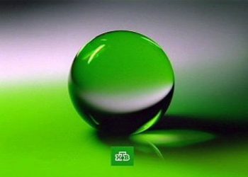Группа журналистов уходит с НТВ