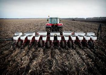 Аграрії отримають компенсації за пересів озимої