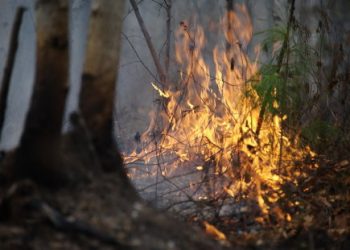 Забайкалля горить: вітер не дає погасити 7 пожеж