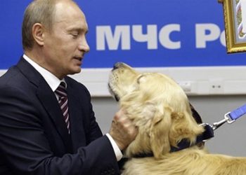 Путин «взялся» за «Народный фронт»