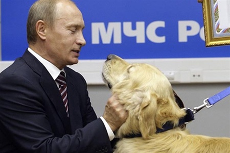 Путин «взялся» за «Народный фронт»
