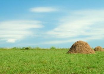 Всеукраїнський сільськогосподарський перепис