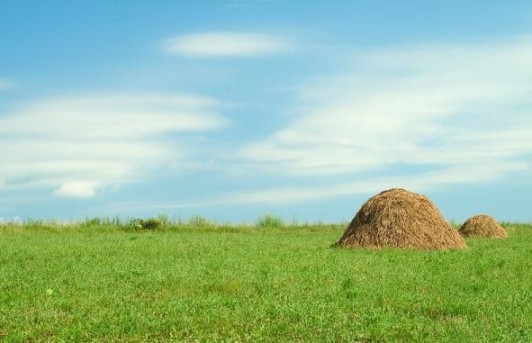 Всеукраїнський сільськогосподарський перепис
