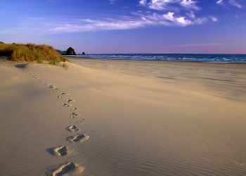 Сліди апостола Андрія Первозванного знайдені на березі Чорного моря