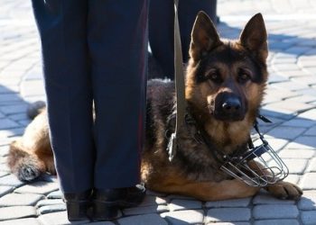 В Сумах на железнодорожном вокзале саперы ищут взрывчатку