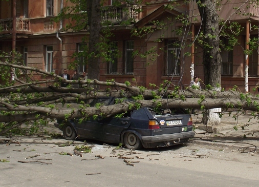 У Криму ураган ламає дерева і трощить авто