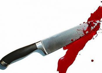 Школяр під час сварки зарізав ножем дідуся і бабусю