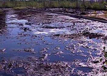 В Сумской области произошла утечка нефтегазовой смеси