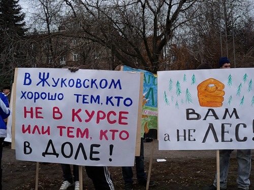 В Подмосковье задержаны защитники Цаговского леса