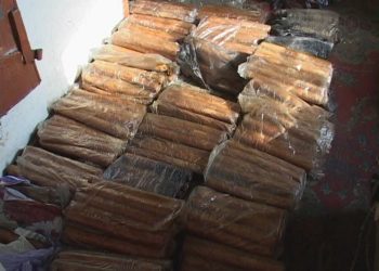 Спецслужбы Афганистана задержали боевиков с 10 тоннами взрывчатки