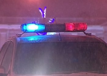 В Петербурге сотрудник полиции сбил насмерть двух пешеходов