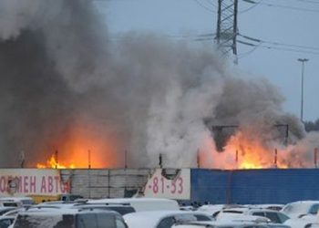 Шойгу просит МЧС и МВД выяснить, почему люди жили на рынке в Москве