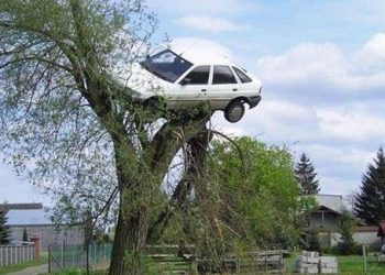 Сусіди покарали чоловіка, піднявши його машину на дерево