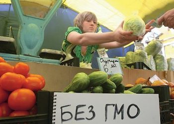 Обнародован список компаний, использующих в своей продукции ГМО