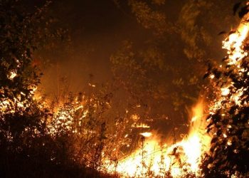 За викинутий недокурок чоловікові доведеться заплатити $20 млн. штрафу