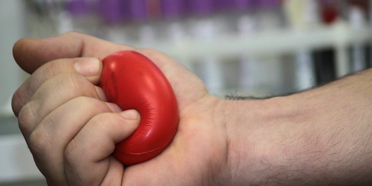 Жители Махачкалы массово сдают кровь для пострадавших
