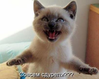 Американські атеїсти пообіцяли подбати про домашніх тварин віруючих після кінця світу