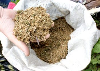 Тюки с 4 тоннами марихуаны плавали у берегов Калифорнии