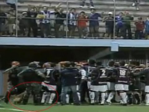 Во время матча собака полиции покусала футболиста.