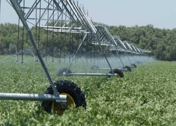 Земли Украины будут орошать саудовцы