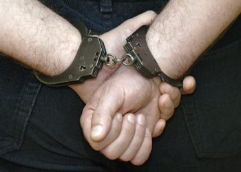 В Крыму задержан россиянин – организатор банды педофилов