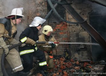 Британский пожарный сломал ногу, спасая золотую рыбку