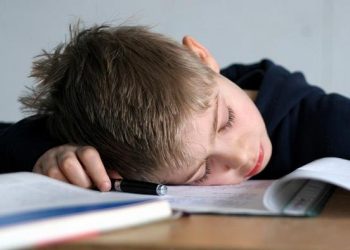 У Данії школярів будитимуть чиновники