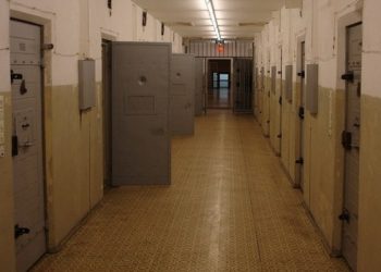 Тридцатипятилетний питерский педофил получил 22,5 года колонии