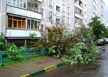 В Москве и Подмосковье ликвидируют последствия урагана