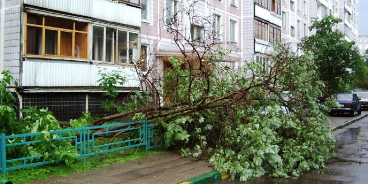 В Москве и Подмосковье ликвидируют последствия урагана