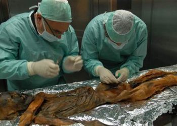 У крижаній мумії вчені виявили найдавнішу кров