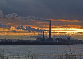 Работники БЦБК просят у Путина защитить их от кредиторов