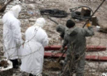 В Черкасской области снова выявлена сибирская язва