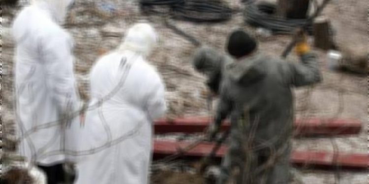 В Черкасской области снова выявлена сибирская язва