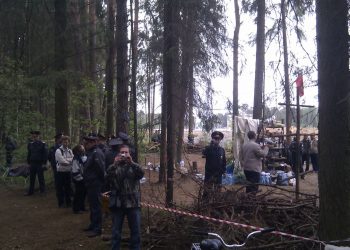 Лагерь защитников Цаговского леса снесли