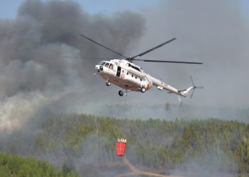 Крупный лесной пожар в Херсонской области тушили 117 человек