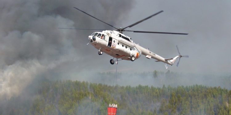 Крупный лесной пожар в Херсонской области тушили 117 человек