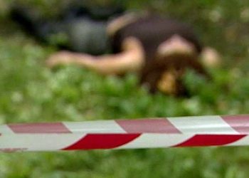 В Житомирской области 12-летний школьник до смерти забил женщину камнями