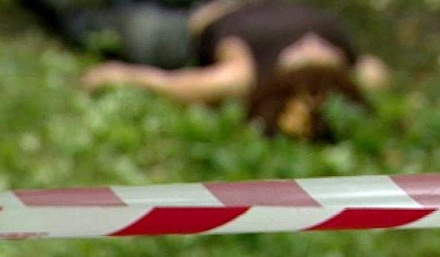 В Житомирской области 12-летний школьник до смерти забил женщину камнями