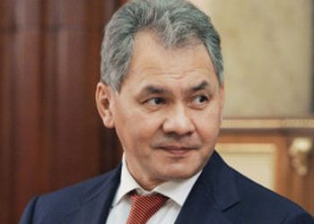 Шойгу раскритиковал власти Жуковского за вырубку Цаговского леса