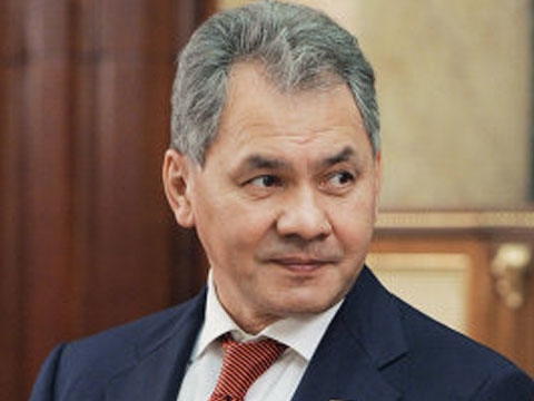 Шойгу раскритиковал власти Жуковского за вырубку Цаговского леса