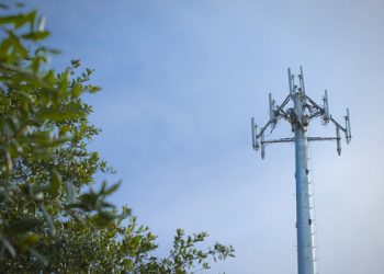 ФАС одобрила создание единого холдинга на базе
