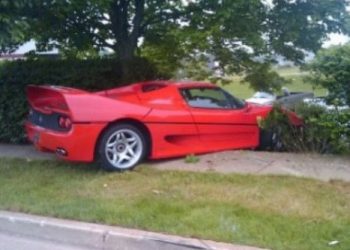 Збереження спорткара за 200 тисяч доларів довірили вівчарці