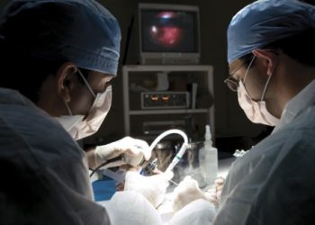 До 2030 року кількість випадків раку у світі зросте на 75%: причина - шкідливі звички