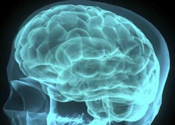 Хвороби знижують рівень IQ