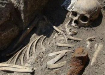 Болгарія покаже